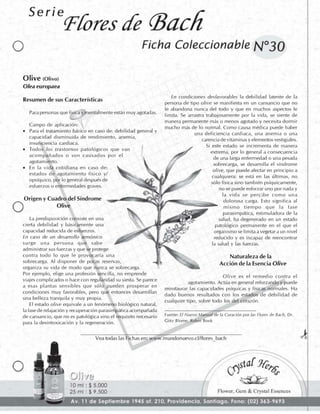 Flores de Bach - Fichas