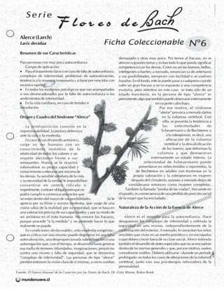 Flores de Bach - Fichas