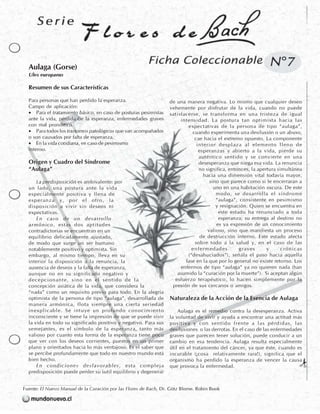 Flores de Bach - Fichas