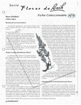 Flores de Bach - Fichas