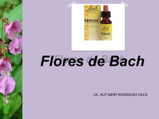 Flores de Bach
LIC. RUT MERY RODRIGUEZ VILCA
 