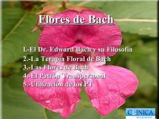 Flores de Bach

l.-El Dr. Edward Bach y su Filosofía
2.-La Terapia Floral de Bach
3.-Las Flores de Bach
4.-El Patrón Transpersonal
5.-Utilización de los PT
 