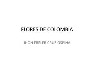 FLORES DE COLOMBIA
JHON FRELER CRUZ OSPINA
 