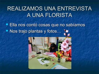 REALIZAMOS UNA ENTREVISTAREALIZAMOS UNA ENTREVISTA
A UNA FLORISTAA UNA FLORISTA
 Ella nos contó cosas que no sabíamosElla nos contó cosas que no sabíamos
 Nos trajo plantas y fotos…Nos trajo plantas y fotos…
 