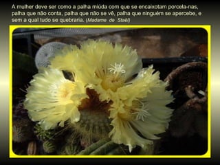 A mulher deve ser como a palha miúda com que se encaixotam porcela-nas, palha que não conta, palha que não se vê, palha que ninguém se apercebe, e sem a qual tudo se quebraria.  ( Madame  de  Staël) 