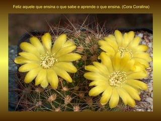 Feliz aquele que ensina o que sabe e aprende o que ensina. (Cora Coralina) 