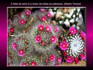 A falta de amor é a maior de todas as pobrezas.  (Madre Tereza) 