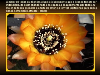 A maior de todas as doenças atuais é o sentimento que a pessoa tem de ser
indesejada, de estar abandonada e relegada ao esquecimento por todos. O
maior de todos os males é a falta de amor e a terrível indiferença para com o
nosso semelhante. (Madre Tereza)
 
