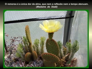 O remorso é a única dor da alma, que nem a reflexão nem o tempo atenuam.
(Madame de Staël)
 