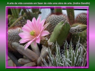 A arte da vida consiste em fazer da vida uma obra de arte. (Indira Gandhi)
 