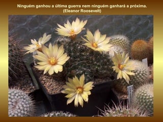 Ninguém ganhou a última guerra nem ninguém ganhará a próxima.
(Eleanor Roosevelt)
 