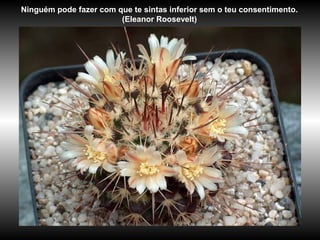 Ninguém pode fazer com que te sintas inferior sem o teu consentimento.
(Eleanor Roosevelt)
 