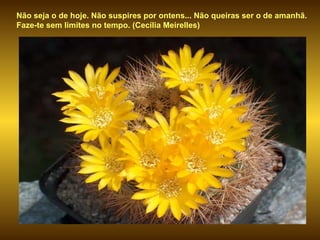 Não seja o de hoje. Não suspires por ontens... Não queiras ser o de amanhã.
Faze-te sem limites no tempo. (Cecília Meirelles)
 