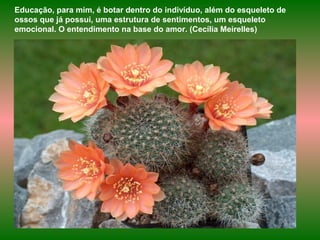 Educação, para mim, é botar dentro do indivíduo, além do esqueleto de
ossos que já possui, uma estrutura de sentimentos, um esqueleto
emocional. O entendimento na base do amor. (Cecília Meirelles)
 