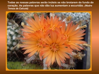 Todas as nossas palavras serão inúteis se não brotarem do fundo do
coração. As palavras que não dão luz aumentam a escuridão. (Madre
Tereza de Calcutá)
 