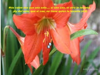 Más valen dos que uno solo.... si uno cae, el otro le levanta.
¡Ay del solo, que si cae, no tiene quien le levante (4,9)
 