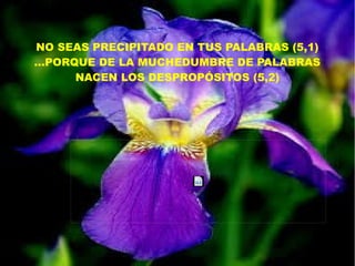 NO SEAS PRECIPITADO EN TUS PALABRAS (5,1)
...PORQUE DE LA MUCHEDUMBRE DE PALABRAS
NACEN LOS DESPROPÓSITOS (5,2)
 