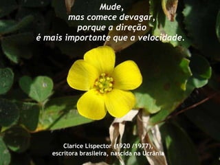 Mude, mas comece devagar, porque a direção é mais importante que a velocidade.  Clarice Lispector (1920 /1977), escritora brasileira, nascida na Ucrânia  