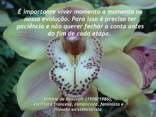 É importante viver momento a momento na nossa evolução. Para isso é preciso ter paciência e não querer fechar a conta antes do fim de cada etapa.  Simone de Beauvoir (1908/1986), escritora francesa, romancista,   feminista e filósofa existencialista 