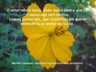 O amor não é louco. Sabe muito bem o que faz e nunca age sem motivo.  Loucos somos nós, que insistimos em querer entendê-lo no plano da razão.  Marina Colasanti, escritora e jornalista ítalo-brasileira   