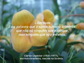 Liberdade Essa palavra que o sonho humano alimenta, que não há ninguém que explique, mas ninguém que não entenda. Clarice Lispector (1920 /1977), escritora brasileira, nascida na Ucrânia  