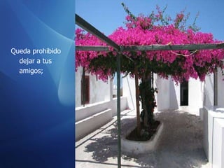 Queda prohibido dejar a tus amigos;  