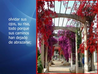 olvidar sus ojos, su risa,  todo porque sus caminos han dejado de abrazarse;  