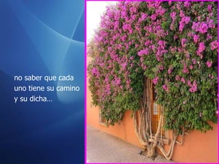 no saber que cada  uno tiene su camino  y su dicha…  