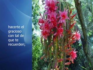 hacerte el gracioso con tal de que te recuerden; 