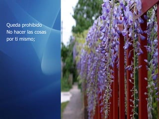 Queda prohibido No hacer las cosas  por ti mismo;    