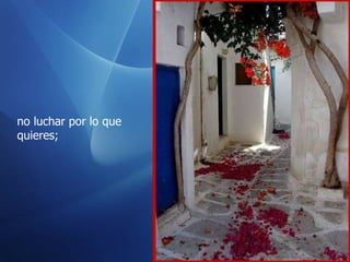 no luchar por lo que quieres;  