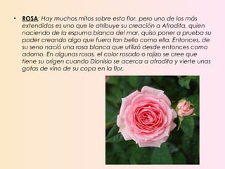 • ROSA: Hay muchos mitos sobre esta flor, pero uno de los más
extendidos es uno que le atribuye su creación a Afrodita, quien
naciendo de la espuma blanca del mar, quiso poner a prueba su
poder creando algo que fuera tan bello como ella. Entonces, de
su seno nació una rosa blanca que utilizó desde entonces como
adorno. En algunas rosas, el color rosado o rojizo se cree que
tiene su origen cuando Dionisio se acerca a afrodita y vierte unas
gotas de vino de su copa en la flor.
 