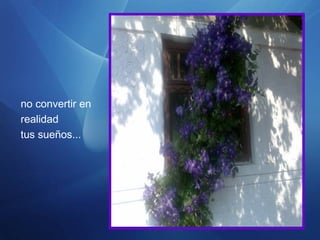 no convertir en
realidad
tus sueños...
 