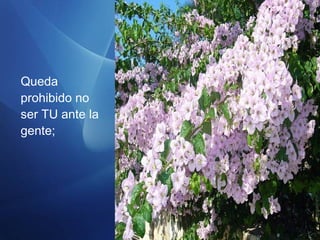 Queda
prohibido no
ser TU ante la
gente;
 