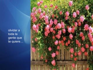 olvidar a
toda la
gente que
te quiere…
 