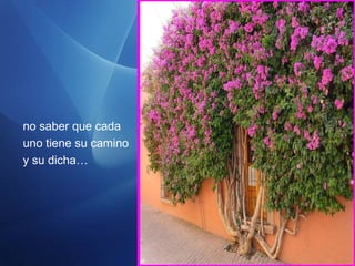 no saber que cada
uno tiene su camino
y su dicha…
 