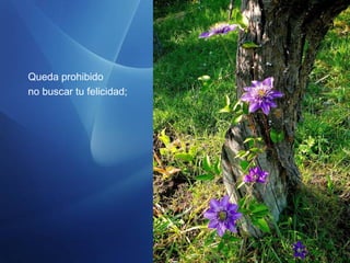 Queda prohibido
no buscar tu felicidad;
 