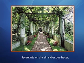levantarte un día sin saber que hacer;
 