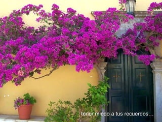 tener miedo a tus recuerdos…
 