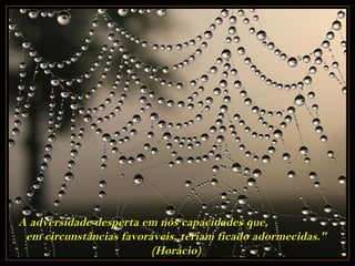 A adversidade desperta em nós capacidades que,
 em circunstâncias favoráveis, teriam ficado adormecidas."
                         (Horácio)
 