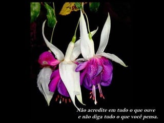 Não acredite em tudo o que ouve
e não diga tudo o que você pensa.
 