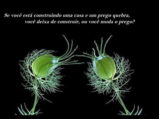 Se você está construindo uma casa e um prego quebra,
         você deixa de construir, ou você muda o prego?
 