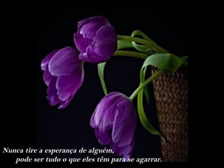 Nunca tire a esperança de alguém,
   pode ser tudo o que eles têm para se agarrar.
 