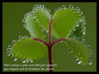 Não comas o pão servido por alguém
que depois irá te lembrar da oferta
 