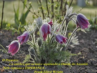 O Presente
    é a sombra que se move separando o Ontem do Amanhã.
Nele repousa a ESPERANÇA .
                     Frank Lloyd Wright
 