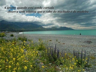 A árvore quando está sendo cortada
  observa com tristeza que o cabo do machado é de madeira
 