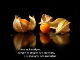 Nunca se justifique,
porque os amigos não precisam,
     e os inimigos não acreditam
 