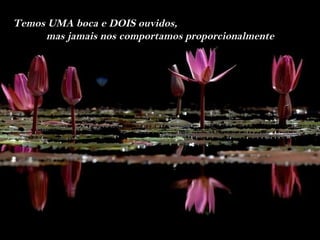 Temos UMA boca e DOIS ouvidos,
     mas jamais nos comportamos proporcionalmente
 