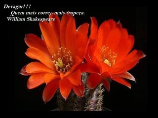 Devagar! ! !
  Quem mais corre, mais tropeça.
 William Shakespeare
 