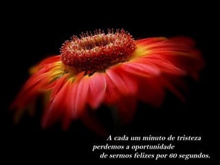 A cada um minuto de tristeza
perdemos a oportunidade
  de sermos felizes por 60 segundos.
 
